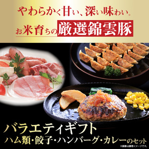 【ブランド豚肉】お米育ちの錦雲豚バラエティギフト（ハム類・餃子・ハンバーグ・カレーのセット）_FN0601