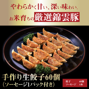 【ブランド豚肉】お米育ちの錦雲豚　手作り生餃子60個（ソーセージ1パック付き）_FN0702