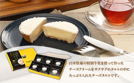 タルト ミルクチーズタルト 6個入り 2箱 [um40azo950002]