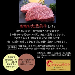 おおいた豊美牛ヒレステーキ400ｇ・3枚切_1771R