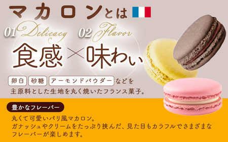 10-24　マカロンギフト（16個入り 8種類×2個）｜スイーツ 洋菓子 お菓子 詰め合わせ ※着日指定不可