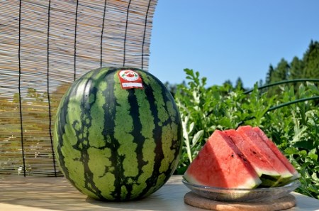 尾花沢すいか 大玉 3L×1玉 令和8年産 7月下旬~8月上旬発送 山形県 ja-suooa3