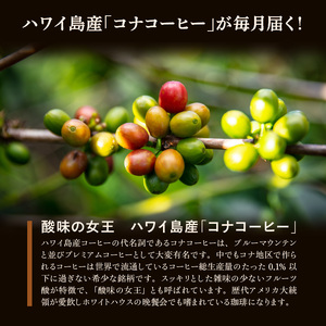 毎月届く ハワイ コナコーヒー 300g（100g×3）粉コース！3ヶ月コース 〔Ec107-P〕