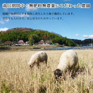 【栽培期間中・無肥料無農薬】瀬戸内三原 羊飼いのこしひかり 玄米2kg 2025年９月上旬発送予定 瀬戸内ビオファーム お米 こめ ご飯 002009