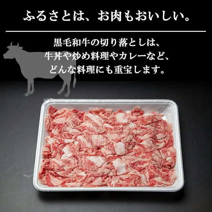 新潟牛 南魚沼産 にいがた 黒毛和牛 切り落とし 500ｇ