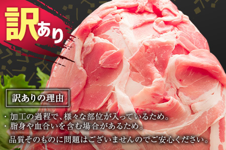 2026年6月にお届け「訳あり」宮崎県産 豚切落し 5kg【C325-2506-2606】