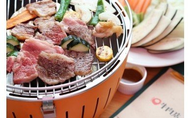 Y134 鳥取和牛 赤身＆霜降り焼肉用切り落とし