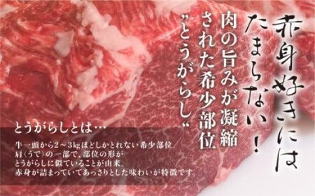 飛騨牛 ブロック とうがらし 1kg ステーキ | かたまり肉 ステーキ 飛騨牛のこもり FC010VC13