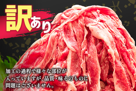 「訳あり」宮崎県産 黒毛和牛小間切れ 1kg【B499】