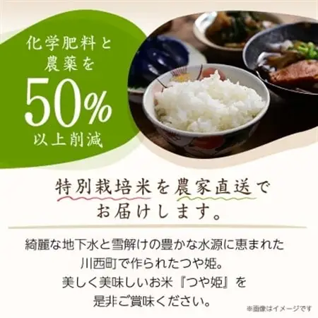 令和7年産　山形県産　つや姫　10kg(5kg×2袋)_米 こめ 白米 精米 精白米 特別栽培米 つや姫 山形県 ブランド米 産地直送 人気 おすすめ 贈答 ギフト プレゼント 送料無料 お取り寄せ お米 ごはん_【1144530】