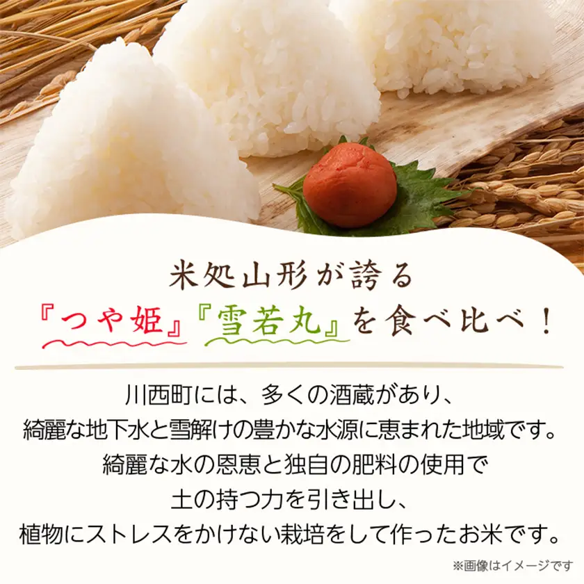 令和7年産　山形県産　つや姫・雪若丸　計10kg_米 こめ 白米 精米 精白米 特別栽培米 つや姫 雪若丸 山形県 ブランド米 産地直送 人気 おすすめ 贈答 ギフト プレゼント 送料無料 お取り寄せ お米 ごはん_【1144536】
