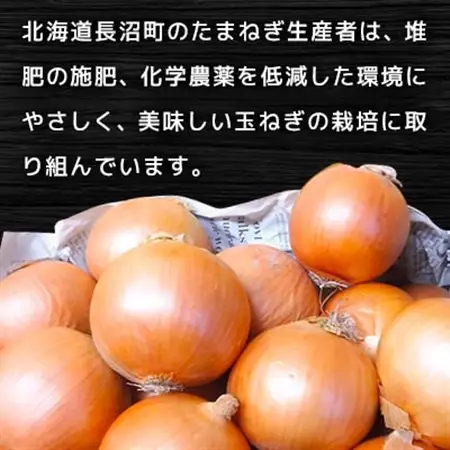 北海道長沼町産玉ねぎL大サイズ10kg_野菜 玉ねぎ  たまねぎ タマネギ_【1229123】