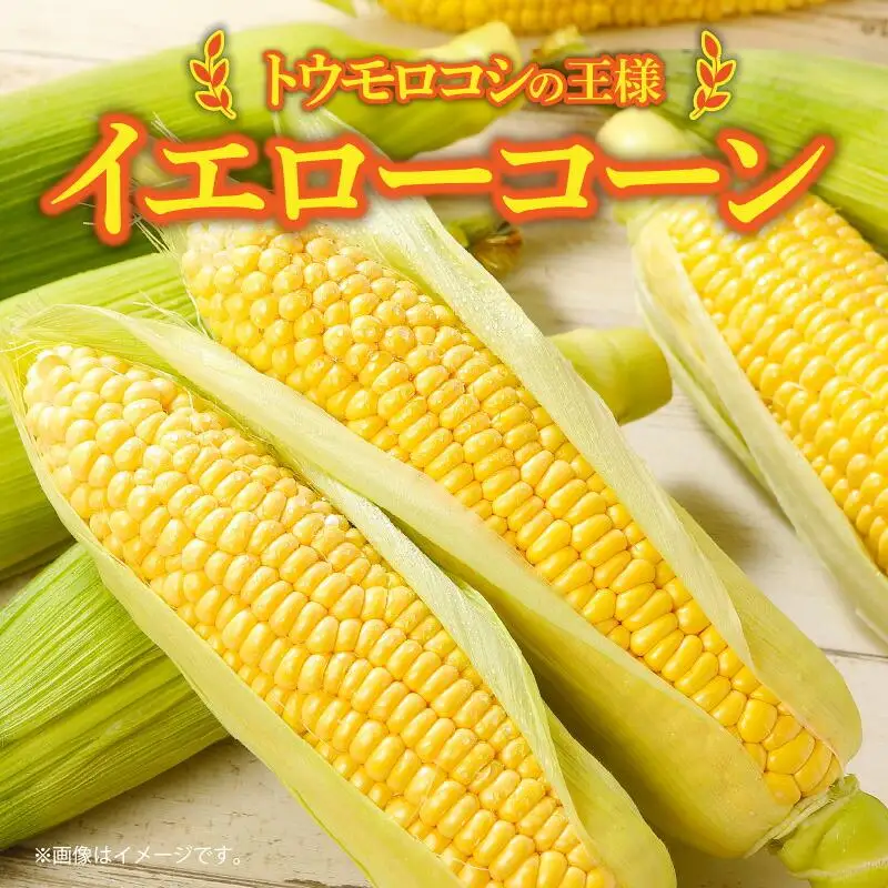 ＼寄附額改定／瀬戸内イエローコーン 約3kg【2026-6月上旬～2026-7月中旬配送】| コーン
