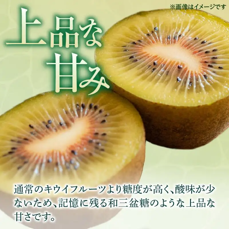 さぬきエンジェルスイート(小玉)　約1.6kg【2026年11月中旬～2027年1月下旬配送】