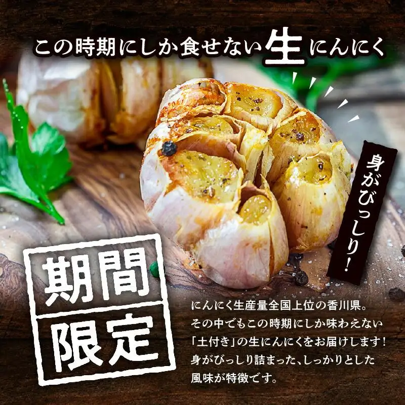 土付きにんにく 約5kg【2026-5月上旬～2026-6月中旬配送】| にんにく