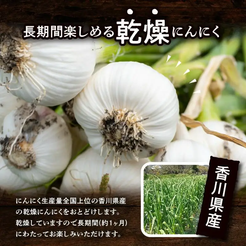 訳あり ご家庭用 乾燥にんにく 約3kg(高松市)【2026年6月下旬～2026年8月下旬配送】｜にんにく