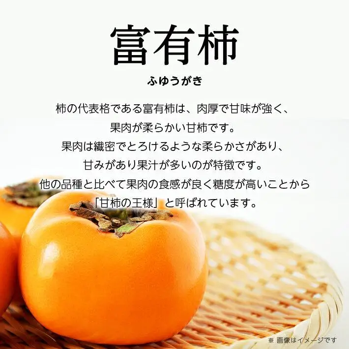 訳あり　富有柿　約7kg【2026年10月下旬～2026年12月中旬配送】