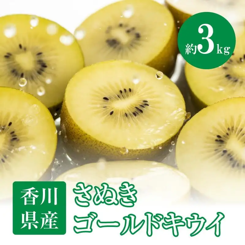 さぬきゴールドキウイ　約3kg【2026年10月中旬～2027年1月下旬配送】