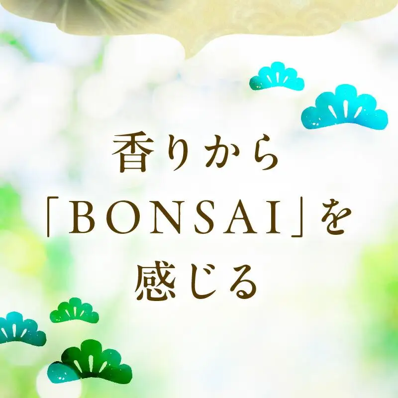 香りぼん MATSUDA