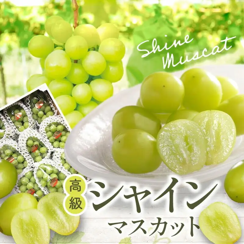 高級  シャインマスカット 約5kg【2026-7月下旬～2026-8月下旬配送】