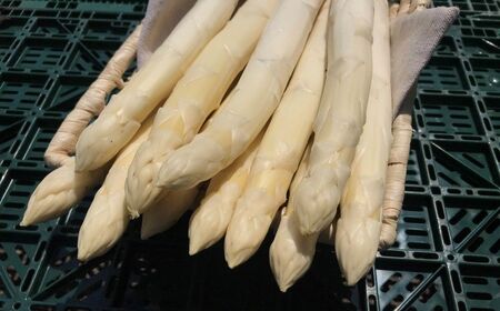 春一番！JAそらち南の味覚「ホワイトアスパラガス」L~4L 1kg前後