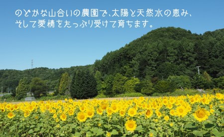 甘～い贅沢「特選甘熟レッドメロン」北海道産どっさり8.5kg!!