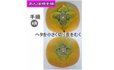 【県認定エコファーマー】あんぽ柿用生渋柿（平たねなし柿） 約4.5～5kg（約20～30玉）【2026年10月中旬～11月上旬ごろ順次発送(日付指定不可)】-AP【art003B】