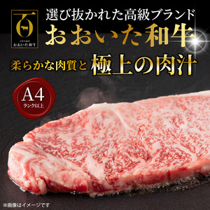 冷蔵発送/おおいた和牛サーロインステーキ200g_1792R-1