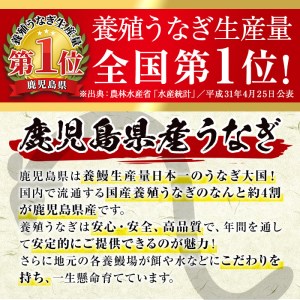 i505 鹿児島県産うなぎ蒲焼2尾セット(約140g×2・計約280g) うなぎ 鰻 ウナギ 2尾 蒲焼き 国産 鹿児島県産 焼きたて 生産量日本一 真空パック おかず 晩御飯 特別な日 土用の丑の日【薩摩川内鰻】