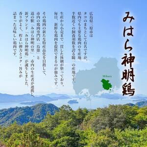 【熊谷喜八監修】みはら神明鶏の鳥すきセット(3～5人前) 鶏肉専門店 鳥徳 鶏肉 鶏すき すきやき とりすき とりもも 鍋セット お肉 お鍋 割り下 神明鶏 鶏 鶏もも肉 モモ セセリ モツ 砂ずり スキヤキ 012003