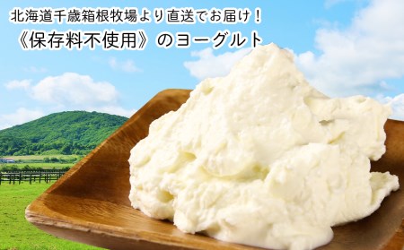 【北海道直送】冷凍できるCHACOのヨーグルト（200g×5個）
