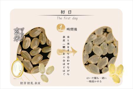 令和7年産 (熟成米) 佐賀県唐津産 さがびより 5kg×2(合計10kg) ご飯 ごはん 白米 お米 コメ