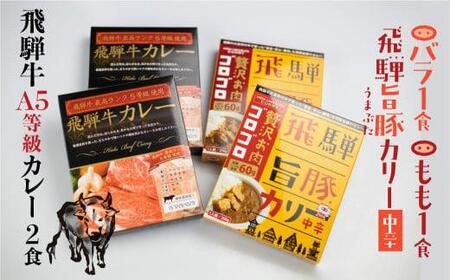 飛騨牛A5等級 カレー（2食）＆ 飛騨旨豚（バラ1食・もも1食）カレー 食べ比べセット  AK005