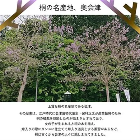 日本一軽い木材【桐】を使用!木のおもちゃ「会津桐つみき」(3段・39ピース・収納BOX付)【1142528】