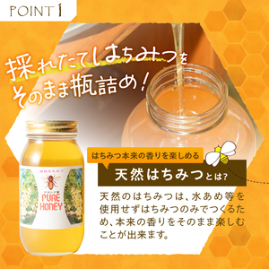 天然アカシヤハチミツセット(1000g×2) 天然 アカシヤ ハチミツ 2本 計2kg 水あめ不使用 非加熱 クセがない すっきり 食べやすい 使いやすい 蜂蜜 はちみつ ハニー ギフト 山梨県 北杜市 送料無料 [h141]