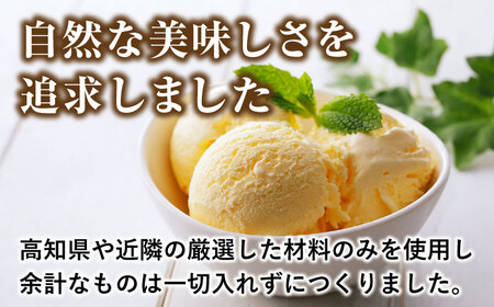 プレミアムアイスクリーム（12個入り） 【cafe du glace】 [ATCL003]
