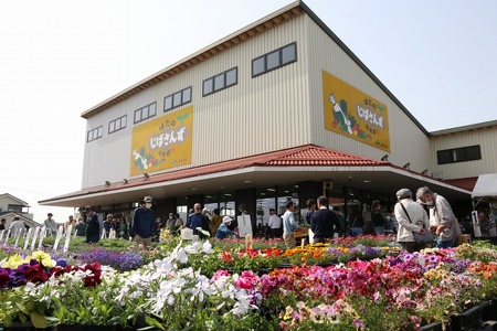 野菜 セット じばさんずの野菜セット 006-05