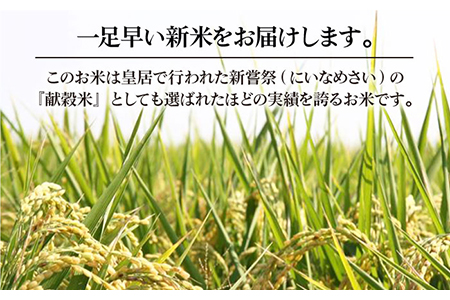 期間限定！令和4年産 新米 七夕こしひかり 10kg（5kg×2袋） / お米 [IAK013]