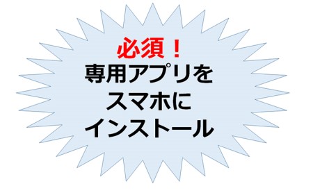 ひらつか☆スターライトマーレ（ふるさと納税返礼ポイント）3000pt付与 商品券 神奈川県 平塚市