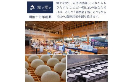 A-197 老舗店人気のココアロールケーキ（2本セット）【徳重製菓とらや】