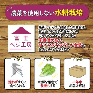 富士レタス 新鮮レタス5種類×2株 食べ比べセット 富士山の伏流水 栽培期間中農薬不使用 新鮮 グリーンリーフ レッドリーフ コーラルリーフ フリルリーフ サラダ菜 長持ち 高い栄養 水耕栽培 小林クリエイト アグリ事業部 静岡県 富士市 [sf002-103]