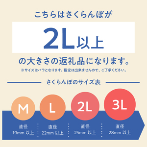 【2026年先行予約】さくらんぼ 500g（特秀品・2L 以上）　さくらんぼ 佐藤錦 紅秀峰 [h052]