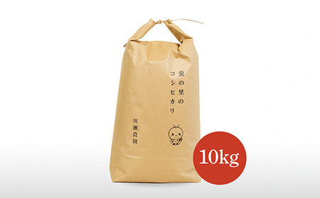 【令和7年産】蛍の里のコシヒカリ　10kg お米 