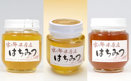 宮田養蜂場のはちみつセット 加工食品 ハチミツ 