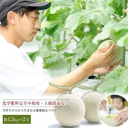 【令和8年度産先行受付】星と蜂のメロン　Lサイズ2玉_果物・フルーツ メロン  めろん_【配送不可地域：離島】【1099062】