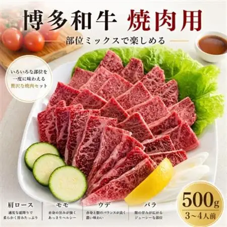【博多和牛】焼肉用　(合計500g)_赤身 バラ 肩ロース ウデ モモ 国産牛 お肉 牛肉 焼肉 冷凍 送料無料 黒毛和牛 国産 九州産 福岡県産 産直 産地直送_【配送不可地域：離島】【1232081】