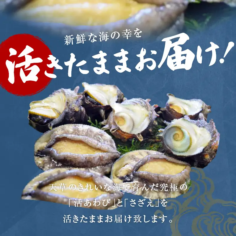 S002-017A_天草産 活あわび・さざえ　浜焼きセット　　約2～3人前