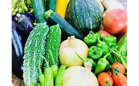 [野菜セット] 産地直送！新鮮とれたて旬の野菜 [3246]