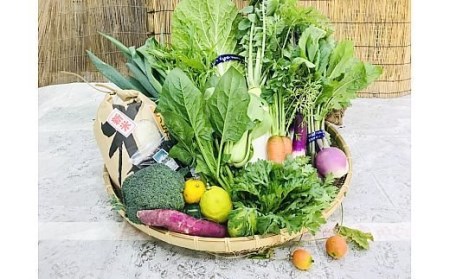 [野菜とお米5kgセット] 産地直送！新鮮とれたて旬の野菜＆ヒノヒカリ5kg [3248]