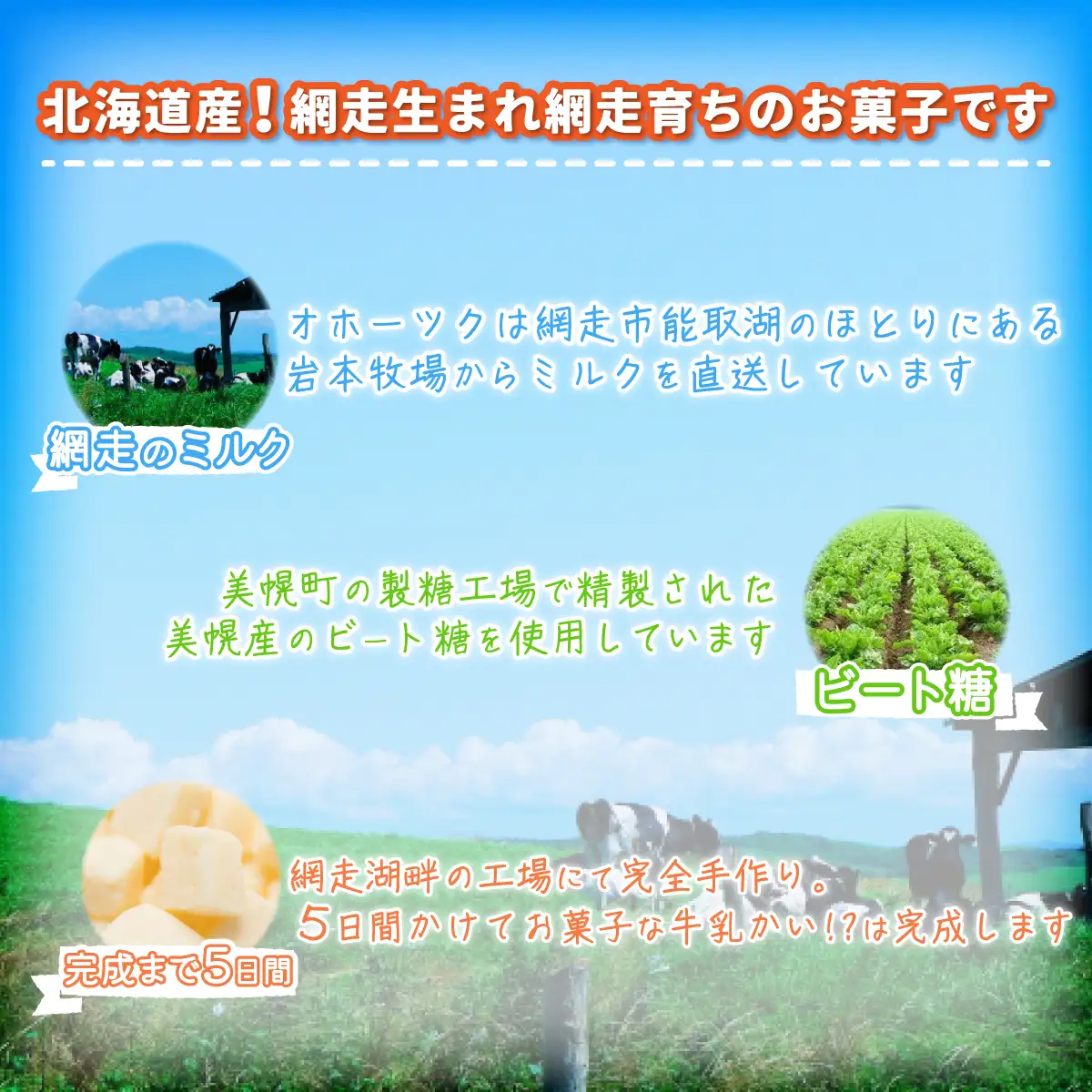 お菓子な牛乳かい!?　2種セット（網走市内加工・製造） 【 ふるさと納税 人気 おすすめ ランキング 菓子 ミルクグラッセ 網走産 オホーツク産 手作り 無添加 プレーン 黒ビート糖味 北海道 網走市 送料無料 】 ABAM001